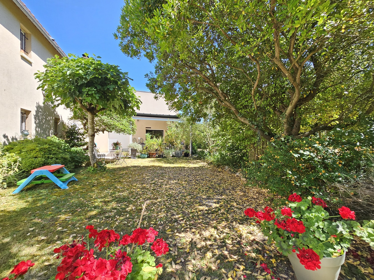 Souzay-Champigny Maison T5