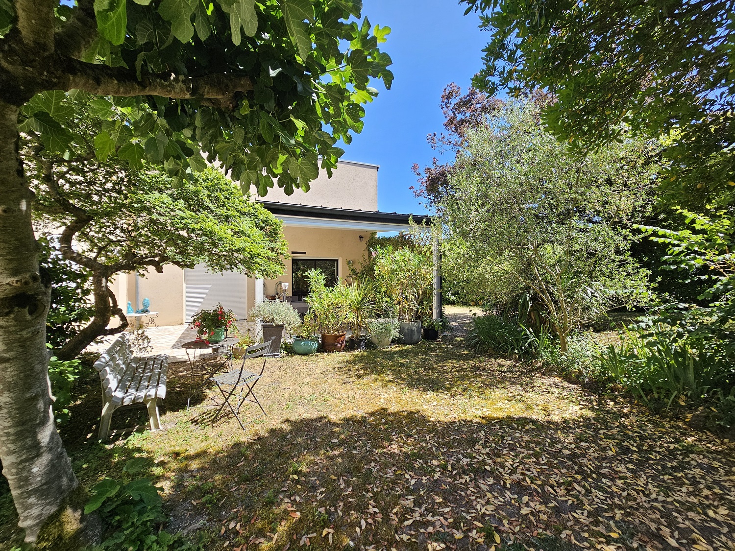 Souzay-Champigny Maison T5