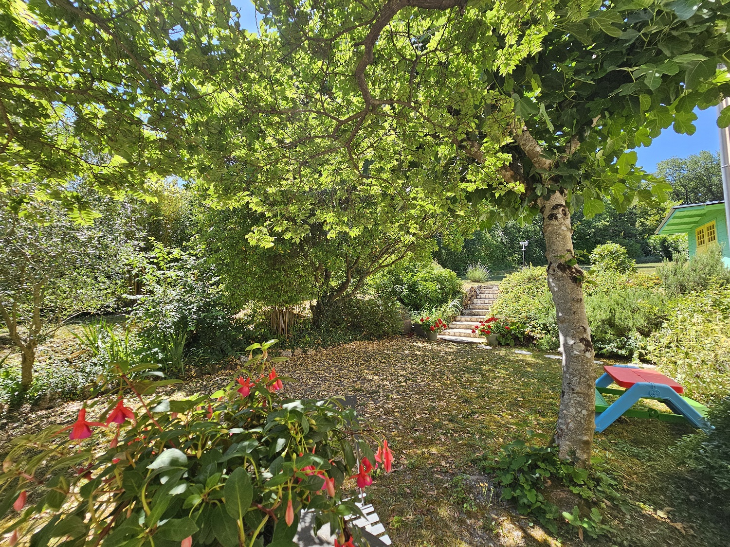 Souzay-Champigny Maison T5